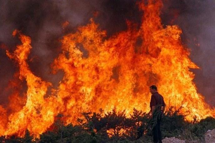 Hrvaška požar | Foto Reuters