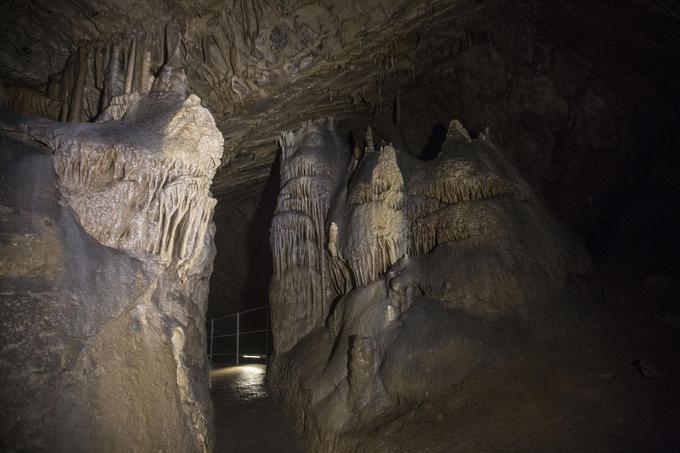 Najzanimivejše kapniške oblike v jami se nahajajo v Paradižu, dvorani Orgel, Veliki dvorani in Dvorani ponvic. | Foto: 