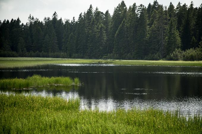 Črno jezero je dovil zaradi svoje sestave tal, ki mu daje barvo. | Foto: Ana Kovač