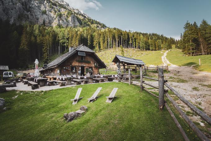 Večerja pod zvezdami | Foto: Peter Podobnik