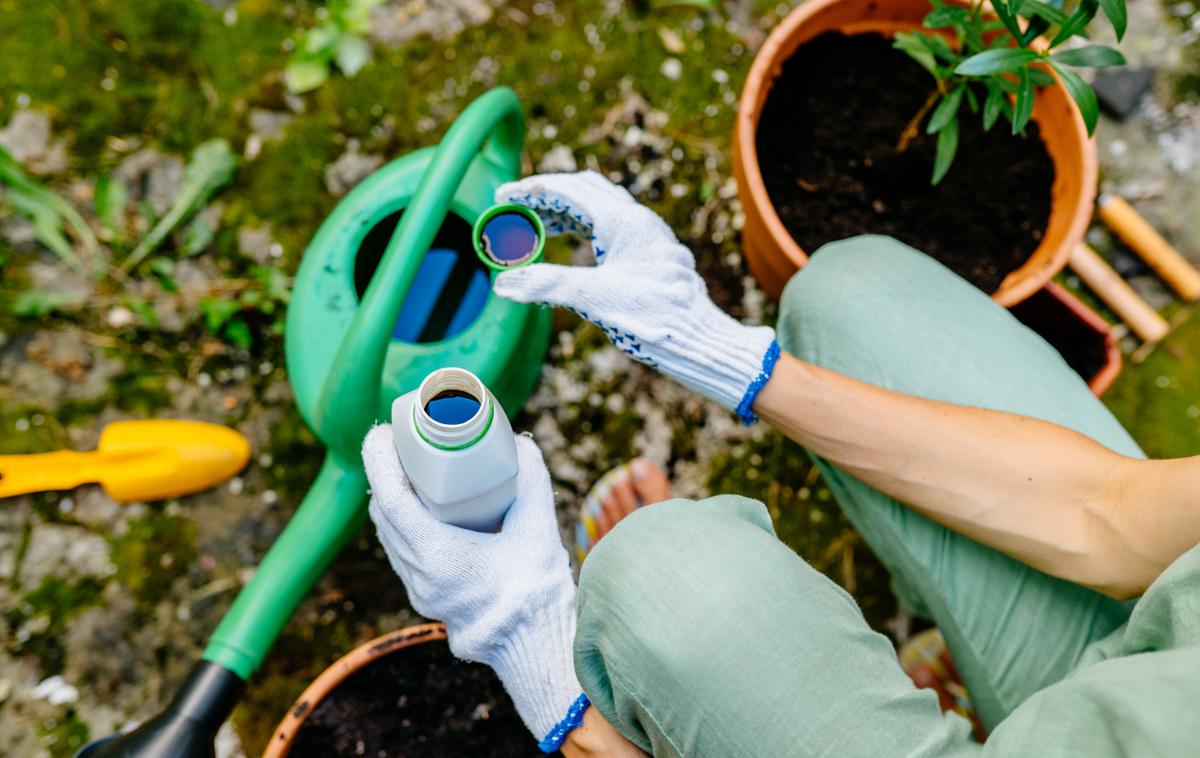 gnojilo, vrt, zelenjava | Foto Shutterstock