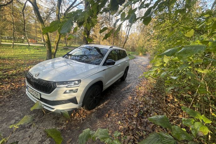 Škoda karoq | Foto Gregor Pavšič