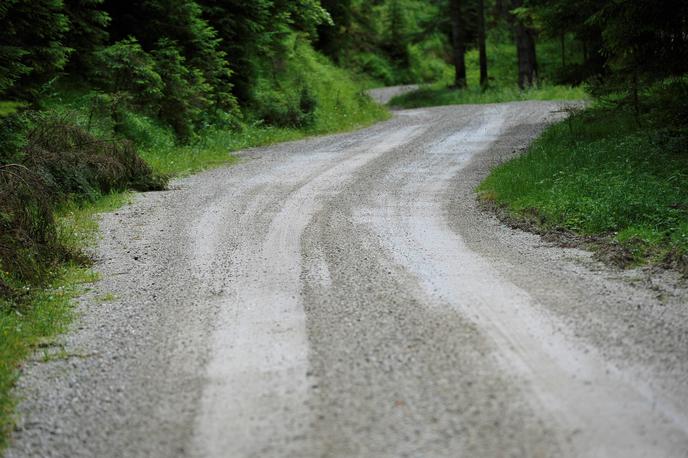 Rovtarica | Foto Gregor Pavšič