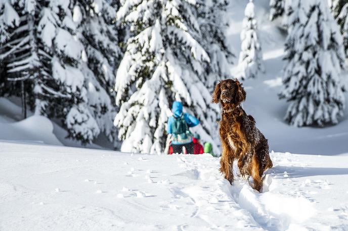 Velika planina | Gore so v zimskem obdobju primerne samo za dobro pripravljene planince. | Foto Ana Kovač