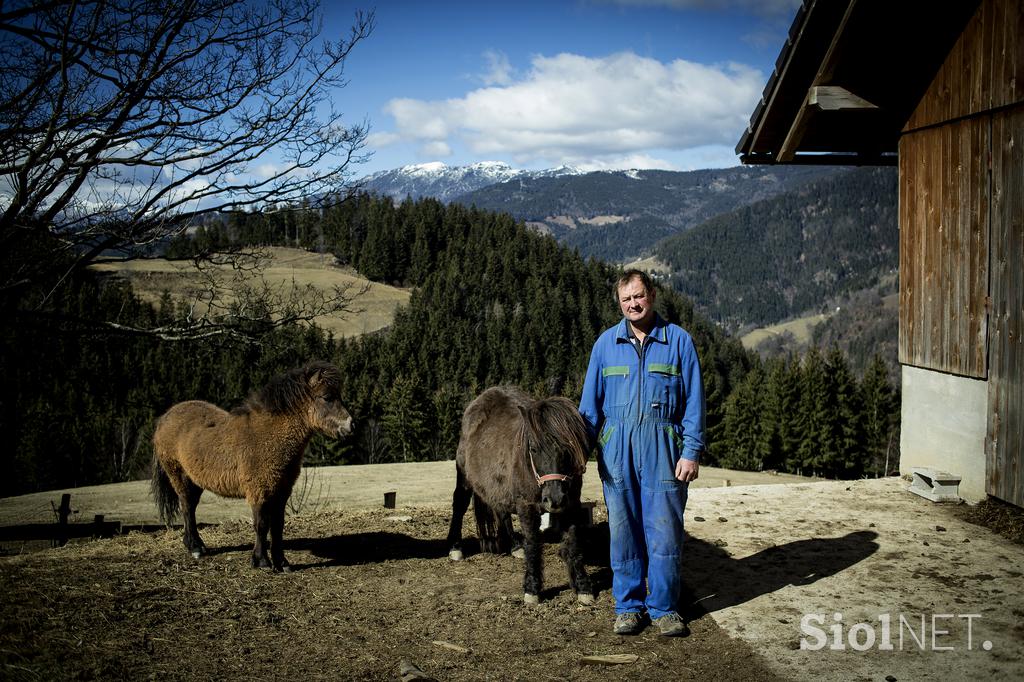 Turistična kmetija Kladje Andreja Henrik Podlesnik Ljubno