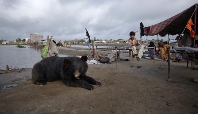 Tando Allahyar, Pakistan | Foto: Reuters