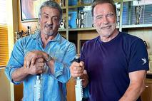 Stallone in Schwarzenegger