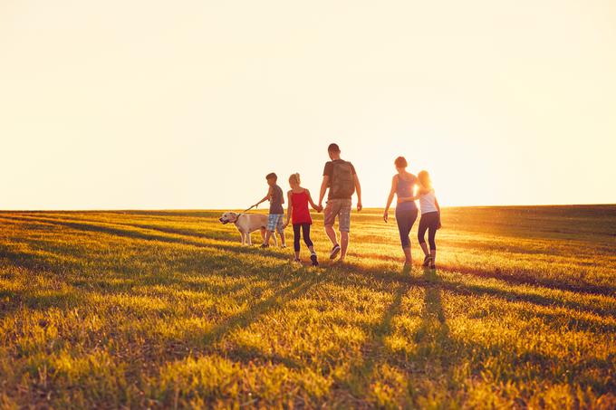 Ne tvegajte pomanjkanja vitamina D, ki ima pomembno vlogo pri ohranjanju močnih kosti. Zlasti v hladnejšem delu leta, ko je sončne svetlobe manj, posezite po prehranskem dopolnilu Terranova Vitamin D3. | Foto: Shutterstock