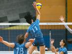 Calcit Volley