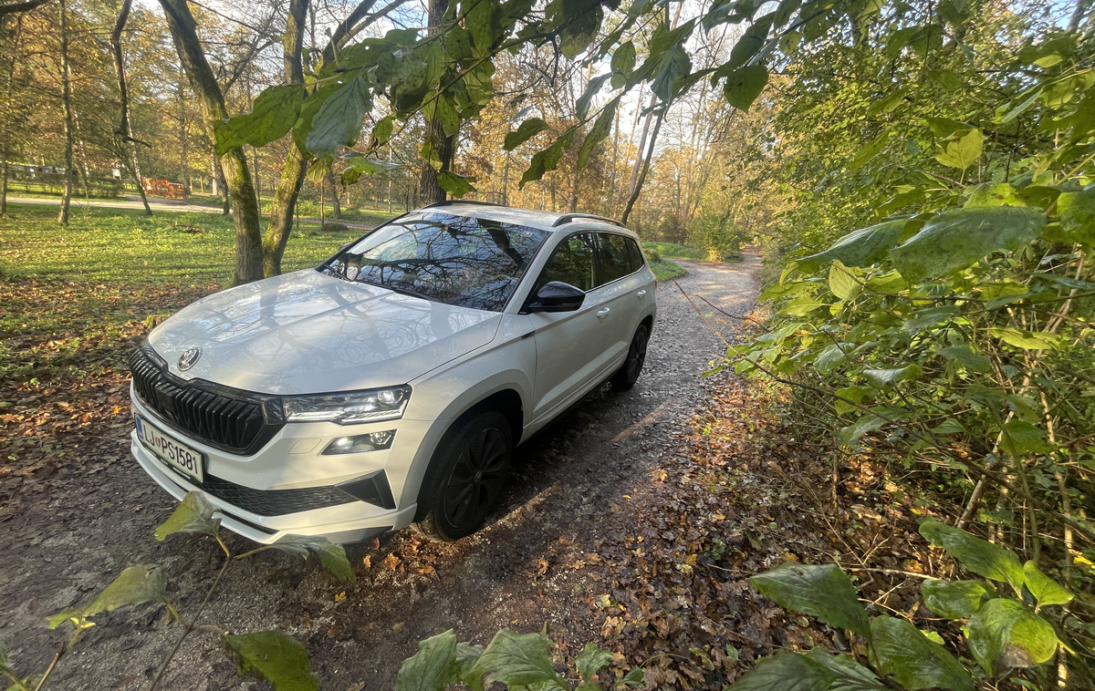 Škoda karoq | Foto Gregor Pavšič