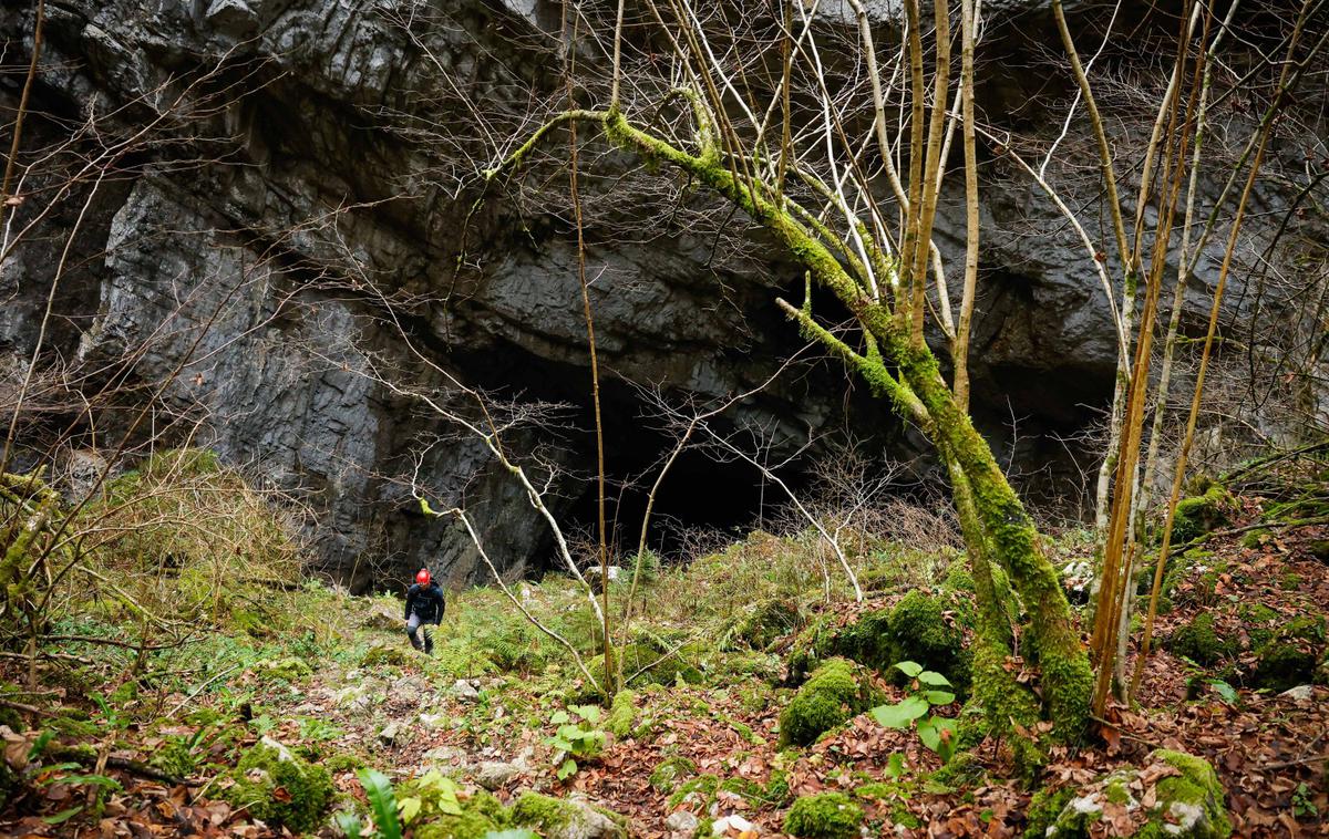 kraška jama, slovenski Kras | Fotografija je simbolična. | Foto STA/Anže Malovrh