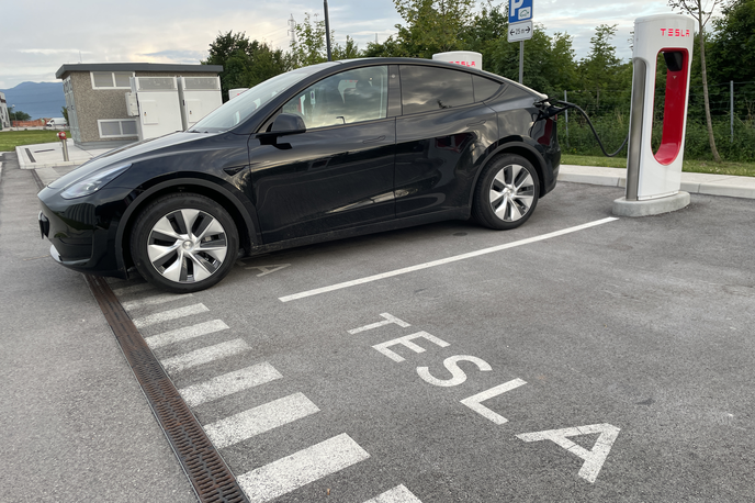 Tesla model Y RWD | Foto Gregor Pavšič