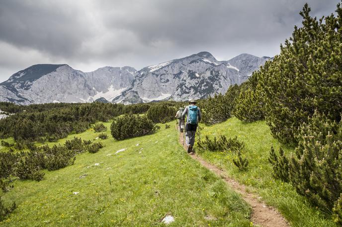 Sutjeska, BiH | Foto Thinkstock