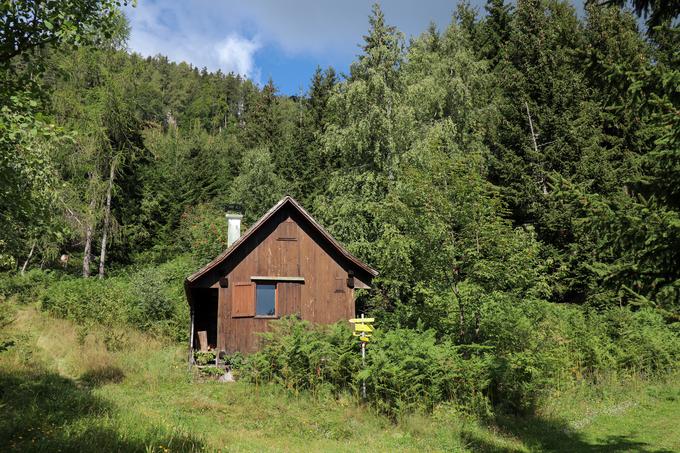 Razcep pri lovski koči. Levo gre strmejša pot, desno pa položnejša. | Foto: Matej Podgoršek