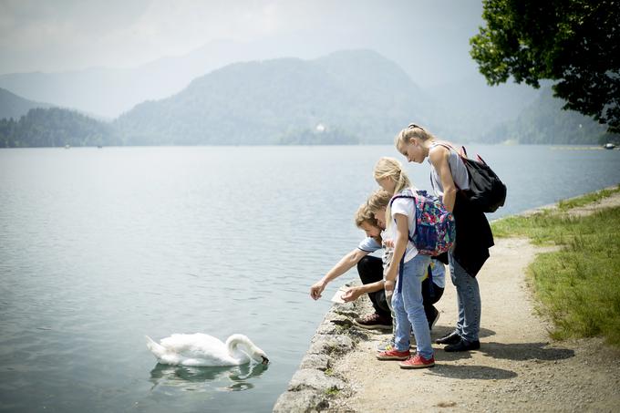 Slovenske železnice | Foto: Ana Kovač