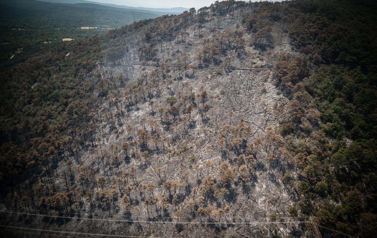 kras požar 2024 | Velik požar je v četrtek izbruhnil blizu vasi Škrbina pod Trsteljem v neposredni bližini požarišča katastrofalnega požara izpred dveh let, nato pa zajel skoraj celoten Trstelj.  | Foto STA