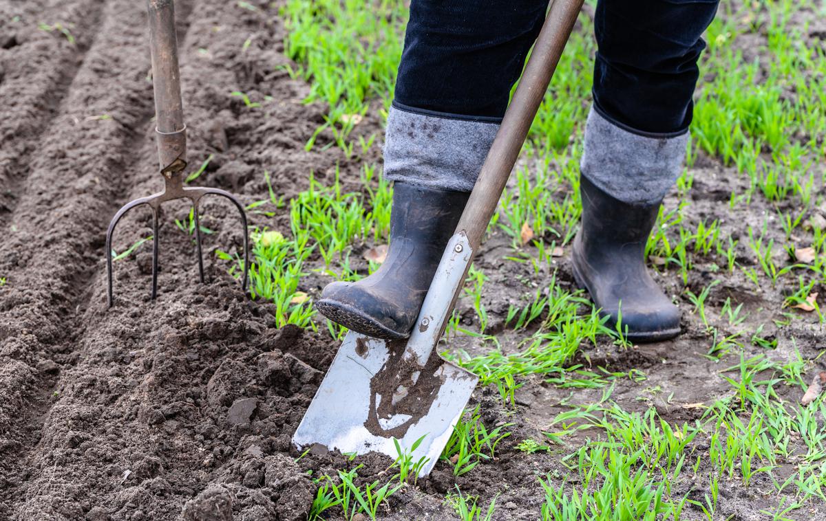 vrt, sajenje, vrtnarjenje, pomlad | Vrt je treba pred novo sezono ustrezno pripraviti: prekopati, pognojiti in razrahljati. | Foto Shutterstock