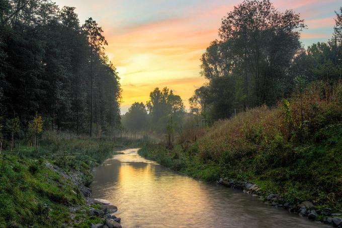 V spodnjem delu Rena, kjer je povprečna gostota plastičnih mikrodelcev najvišja, onesnaženost vodotoka dodatno poglablja razmeroma majhna reka Emscher (na fotografiji), pritok, ki se v Ren izliva pri kraju Dinslaken. Emscher, ki velja za biološko mrtvo reko, pred tem teče po Porurju, pokrajini, ki je središče nemške industrije. | Foto: Thomas Hilmes/Wikimedia Commons