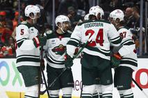 Minnesota Wild