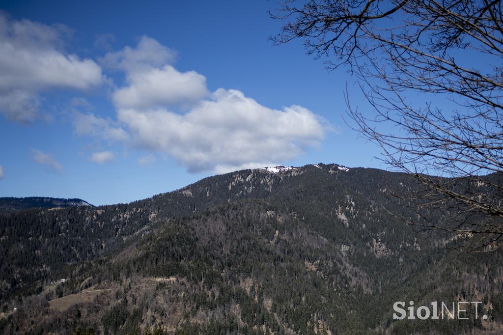 Turistična kmetija Kladje Andreja Henrik Podlesnik Ljubno