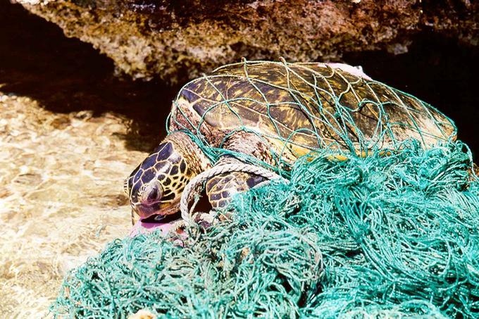 Pri The Cleanup Project upajo, da bo takšnih prizorov po zaslugi njihovih prizadevanj v prihodnosti manj. |  Foto: NOAA/Flickr (Licenca CC BY 2.0) | Foto: 