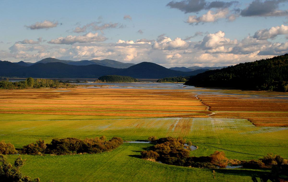 Cerkniško jezero