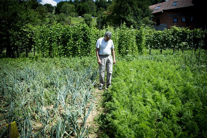 Večino hrane, ki jo ponudijo svojim gostom, pridelajo sami doma na ekološki način. | Foto: Ana Kovač