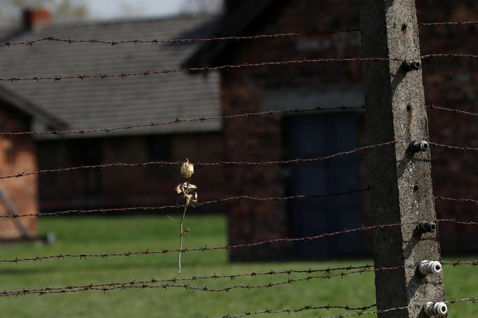 Koncentracijsko taborišče v Auschwitzu. | Po novejših ocenah so med drugo svetovno vojno med letoma 1939 in 1945 nacisti usmrtili okoli pol milijona Romov, nekateri menijo, da celo milijon in pol. Romi so bili kot etnična skupina za Judi tako druga največja žrtev nacističnega režima. | Foto Reuters