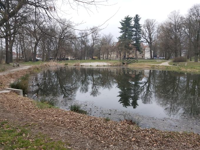 Občina Beltinci leži ob levem bregu reke Mure na ravninskem delu Prekmurja. Na površini 6.228 hektarjev prebiva 8.640 ljudi. Občino Beltinci sestavlja osem naselij: Beltinci, Bratonci, Dokležovje, Gančani, Ižakovci, Lipa, Lipovci in Melinci. Občinsko središče so Beltinci. | Foto: R. P.