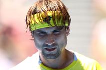 David Ferrer