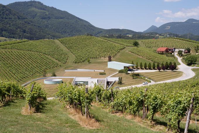 Vinska klet Zlati grič se ne ponaša samo z vrhunskimi vini, ampak tudi z zanimivimi arhitekturnimi rešitvami. | Foto: 