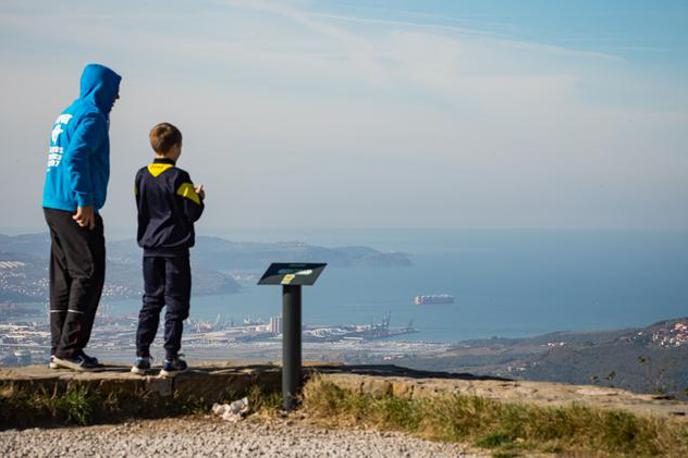 Tržaški zaliv | Foto Bor Slana