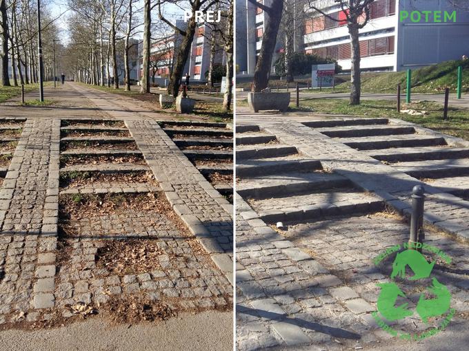 "Na pobudo članice društva so bili ponovno postavljeni izruvani količki, ki preprečujejo vožnjo in parkiranje avtomobilov na sprehajalni poti." | Foto: Društvo Zelenih nadzornikov