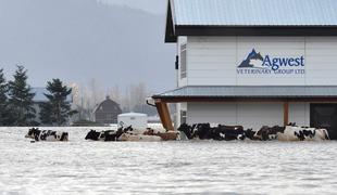 Hude poplave zaustavile življenje v Vancouvru #foto #video