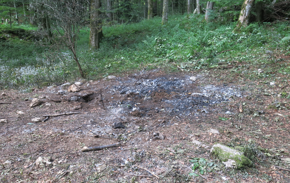 Letalska nesreča Predmeja | Foto STA