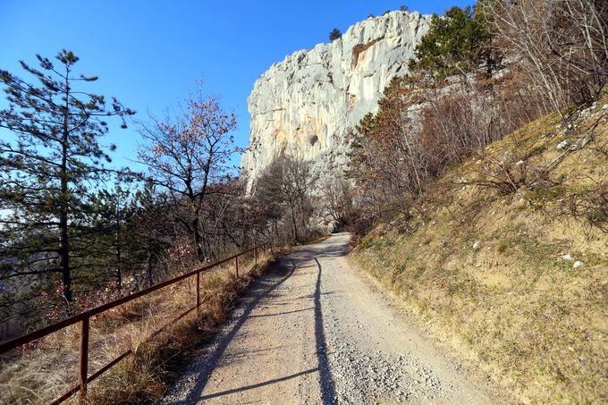 Črnotiče ležijo še na nadmorski višini nad 300 metri, nato pa se cesta spušča proti dolini. | Foto: Gregor Pavšič