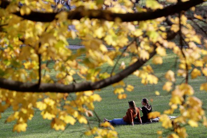 jesen listje | Očitno je čas za zamenjavo oblačil z zimskimi, pred nami pa tudi začetek kurilne sezone.  | Foto Reuters