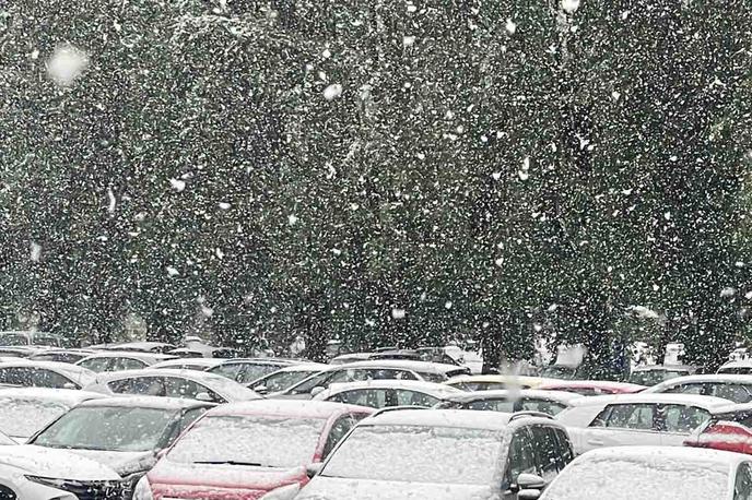 Sneg v Celju | Meteorolog portala Meteoinfo napoveduje, da bo v krajih nad 700–800 metrov nadmorske višine zapadlo od deset do 15 centimetrov snega, še višje pa tudi več kot četrt metra.  | Foto Bralec