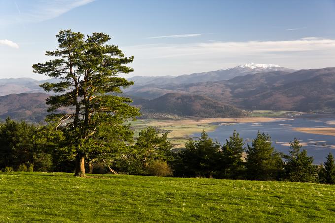 Pogled s Slivnice na Cerkniško presihajoče jezero | Foto: Shutterstock