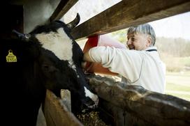 Stanko Valpatič ekološka kmetija vegan veganski izdelki Za naravo Društvo za osvoboditev živali krava veganstvo hrana