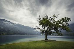 Gladina Bohinjskega jezera narasla za dober meter in pol