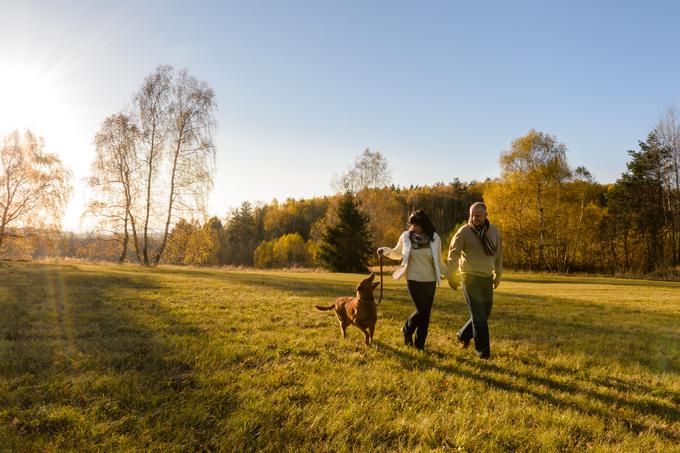 sprehod jesen | Foto: 