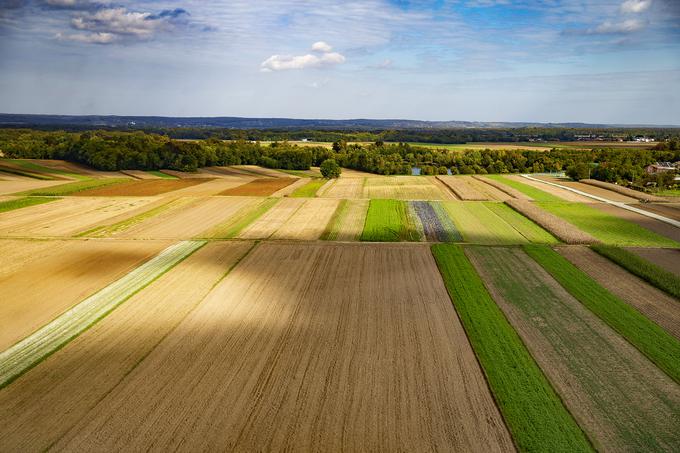 Skupina Panvita je eden največjih slovenskih proizvajalcev hrane. | Foto: Ana Kovač