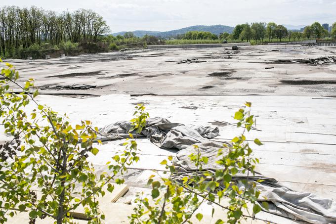 Večina posojil Grepu je bila aprila 2014 prenesena na DUTB. | Foto: Klemen Korenjak