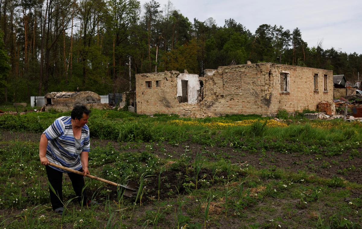 Polje | Med letoma 1990 in 2020 se je iz Ukrajine izselilo 7,76 milijona prebivalcev, največ v Evropi. | Foto Reuters