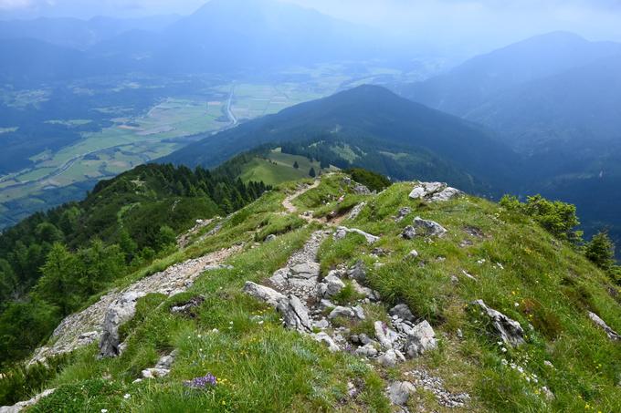 Sestop do Bistriške planine po bolj strmi avstrijski poti | Foto: Matej Podgoršek