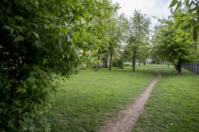 Zelene površine v stanovanjskem naselju. | Foto: Urban Urbanc/Sportida