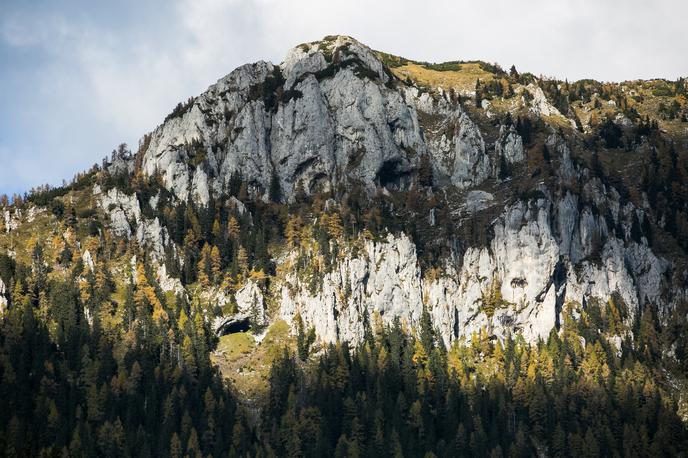 potočka zijalka olševa | Foto Klemen Korenjak