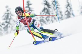 Zlata lisica, slalom