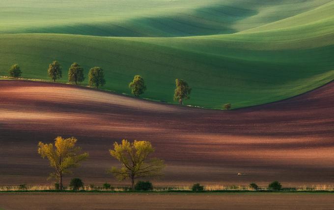 Fotografijo, ki mu je prinesla uvrstitev med 50 najboljših, je Aleš Komovec posnel na Češkem.  |  Foto: Aleš Komovec / Sony World Photography Awards 2017 | Foto: 